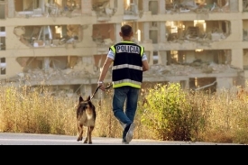 Policista se psem v oblasti výbuchu.